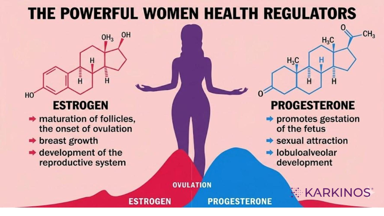 Estrogen and Progesterone Blog_April 28 2026