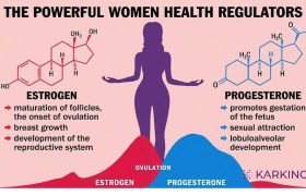 Estrogen and Progesterone Blog_April 28 2026