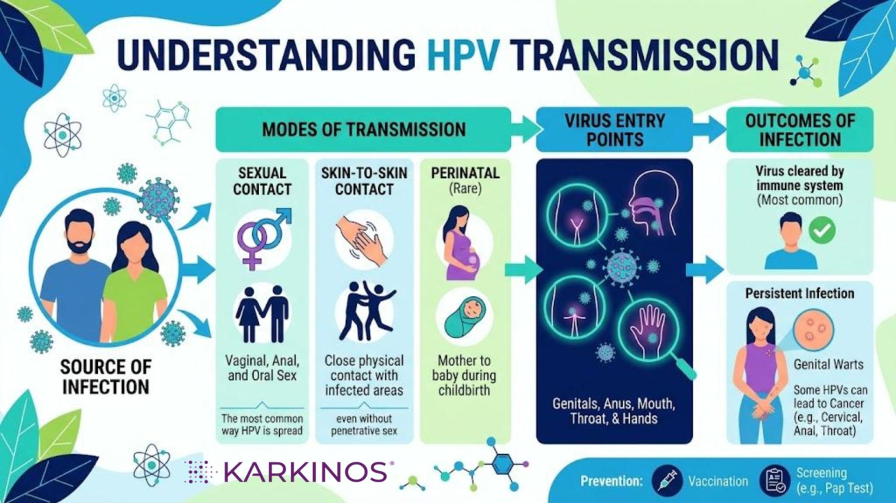 HPV Transmission
