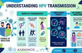HPV Transmission