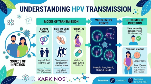 HPV Transmission