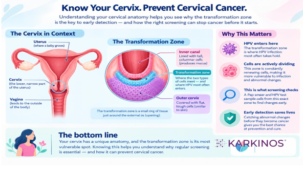 Hero image cervical anatomy BLOG 1